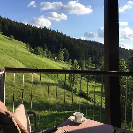 Apartman U Sjezdovky Вельке-Карловице Экстерьер фото
